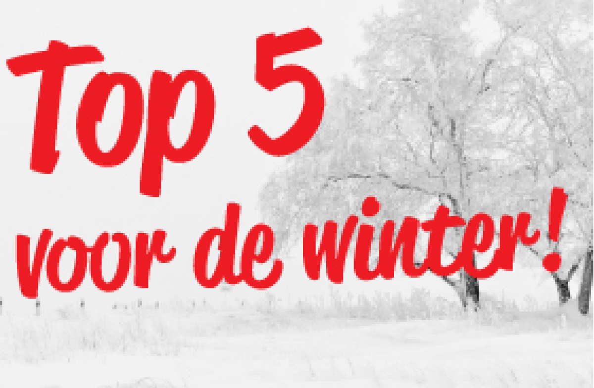 Relatiegeschenken voor de winter